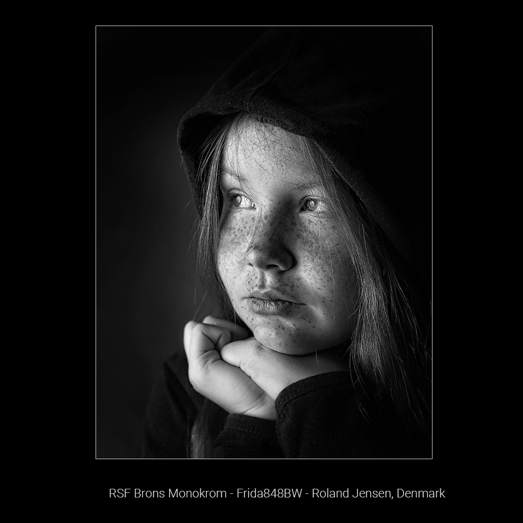 Medaljer Nordisk Fotomesterskap 2020