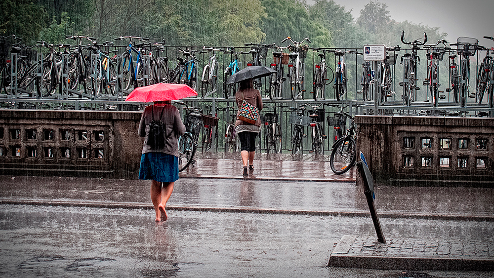 Rainy Day, Per Martens