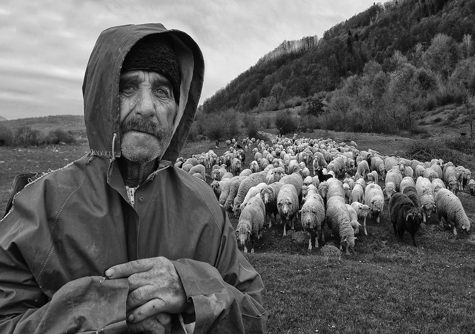 Shepherd with rain jacket, Søren Skov