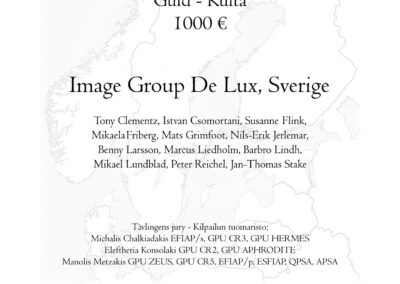 Image Group De Lux, SE: Gold medal