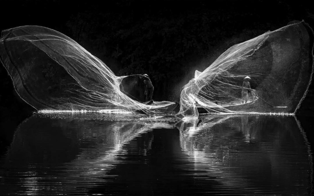 Thach Nguyen, Vietnam - Butterfly