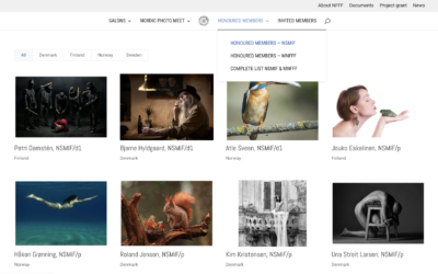 New titles awarded, galleries section up-to-date