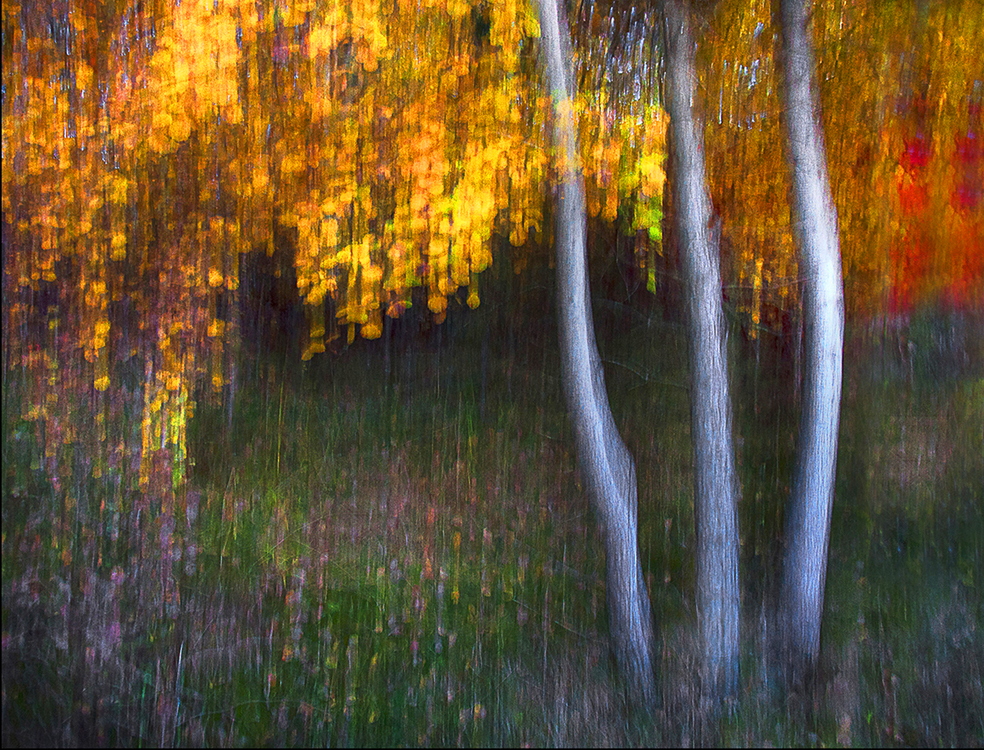 Autumn colours (Monica Wennblom)