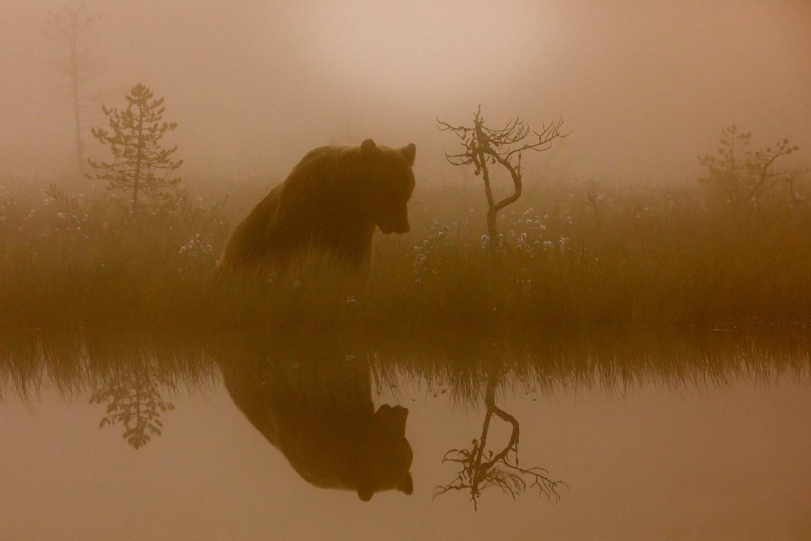 Morning fog (Juha Jokinen)