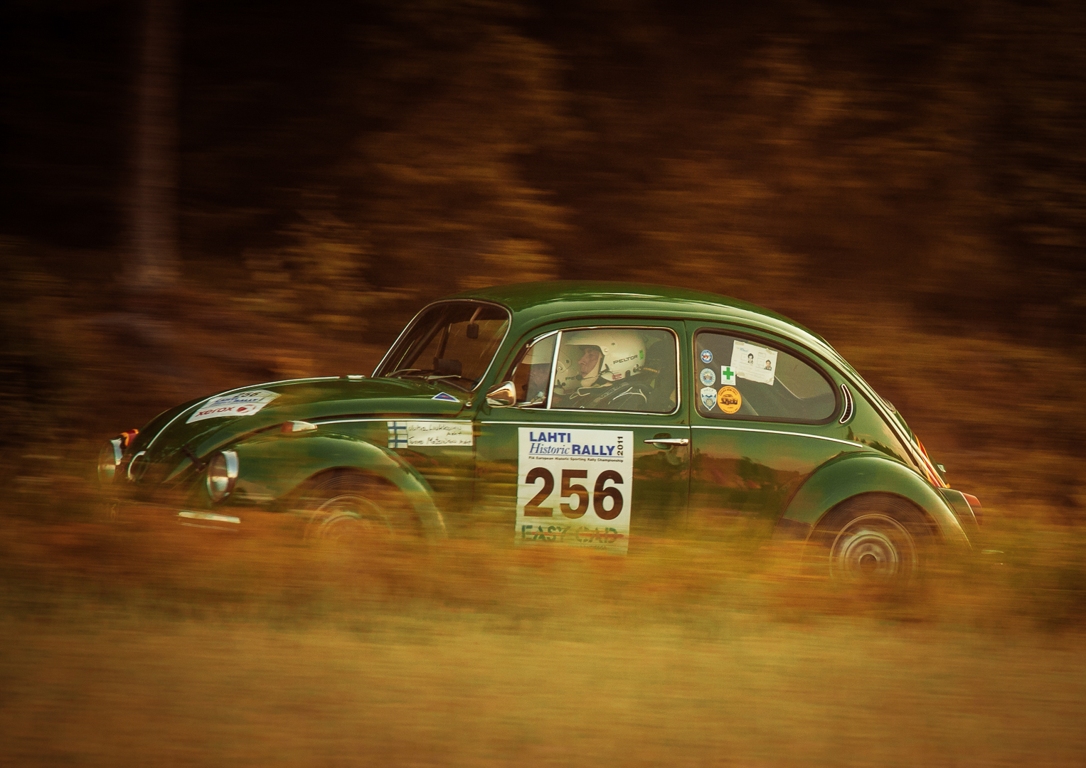 Rally beetle (Simo Järvinen)