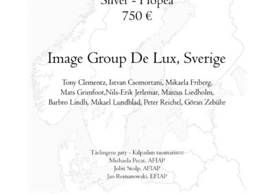 Image Group De Lux, SE: Silver