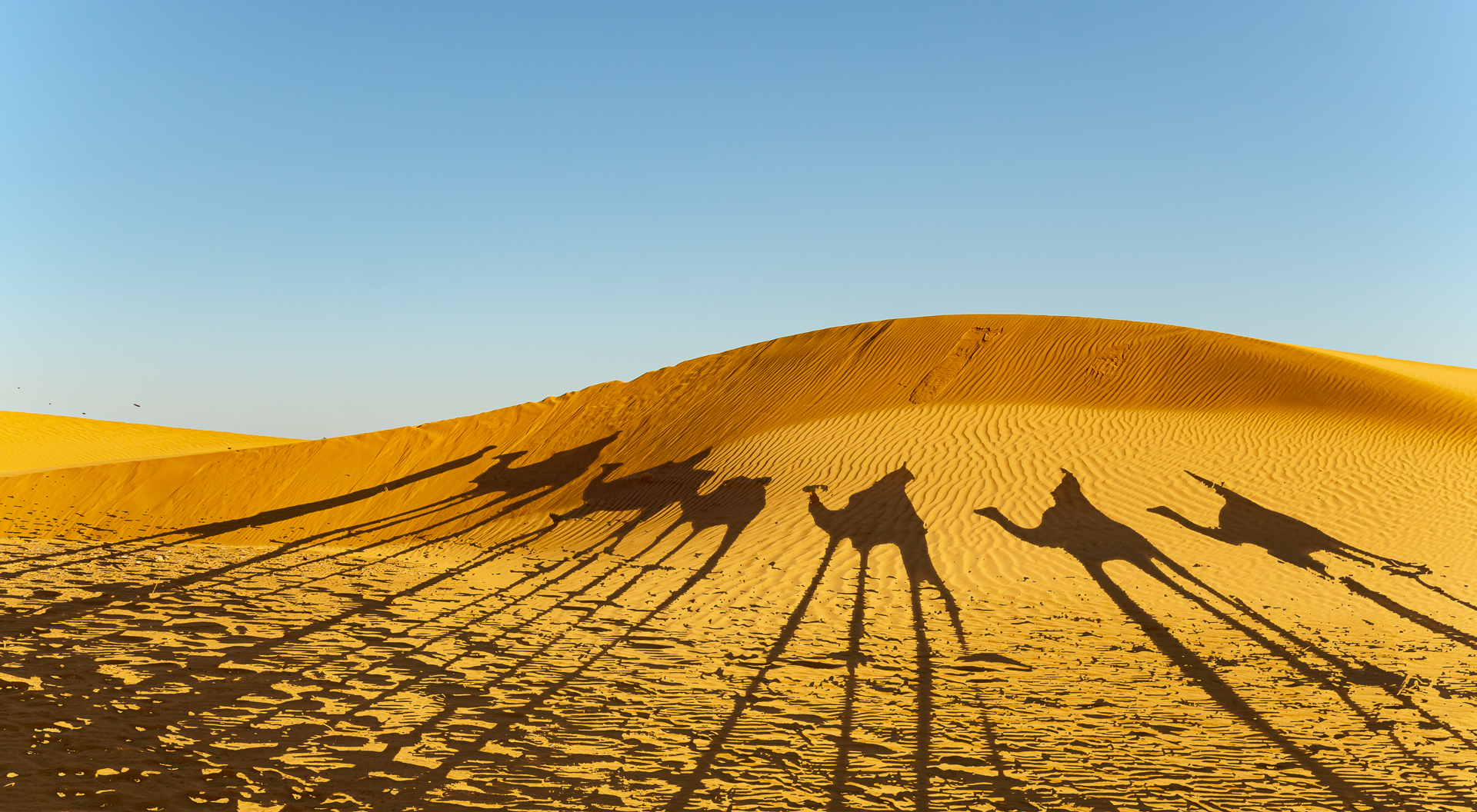 Camel shadows (Jarmo Mäntykangas, MNFFF/b 2023)