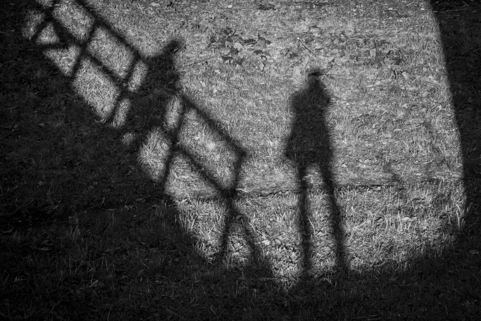 Shadows (Göran Zebühr, MNFFF/s 2023)