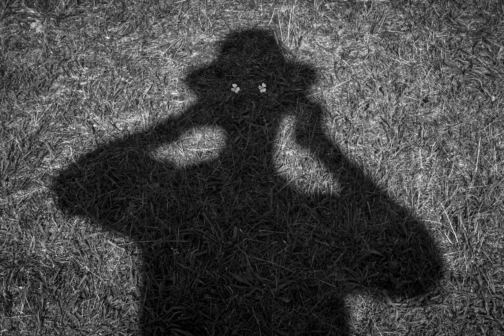 Shadows (Göran Zebühr, MNFFF/s 2023)