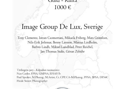 Image Group De Lux, SE: Gold