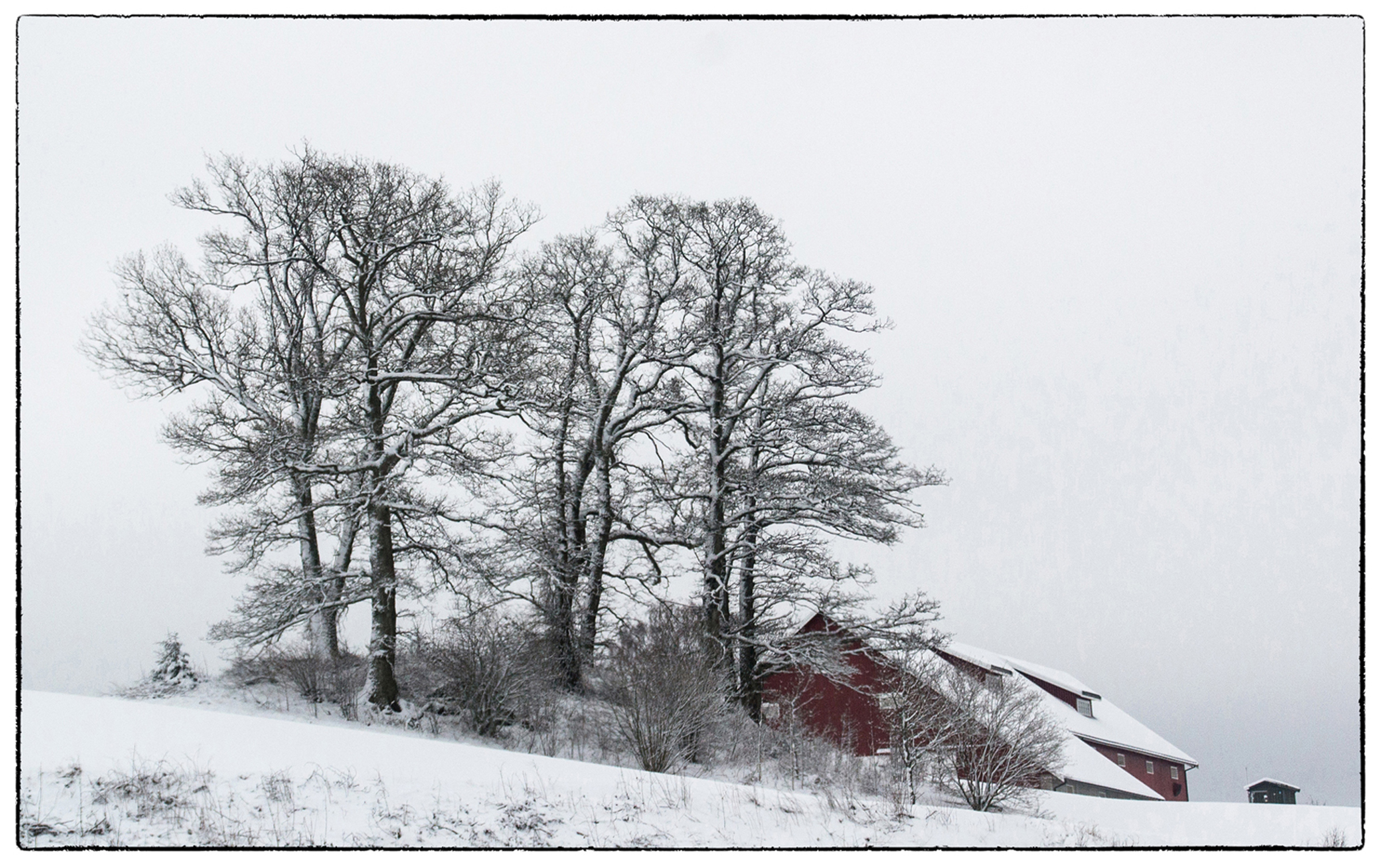 Wintertime 2 (Torhild Hyllseth)