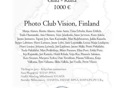 Photo Club Vision, FIN – Gold 2024