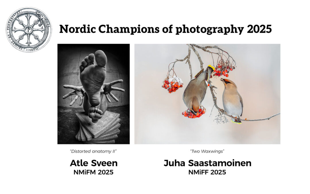 NFM 2025 winners